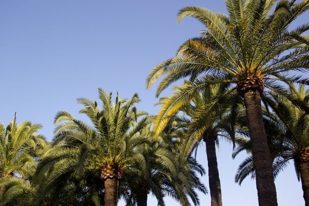 Parenthèse Inattendue à Nice