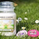 Des Bougies aux Senteurs Printanières