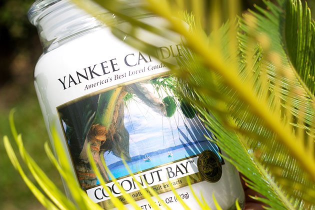 http://www.justesublime.fr/wp-content/uploads/2015/05/coconut-bay-yankee-candle.jpg