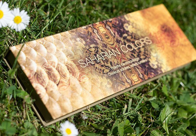 Saharian Colors Palette