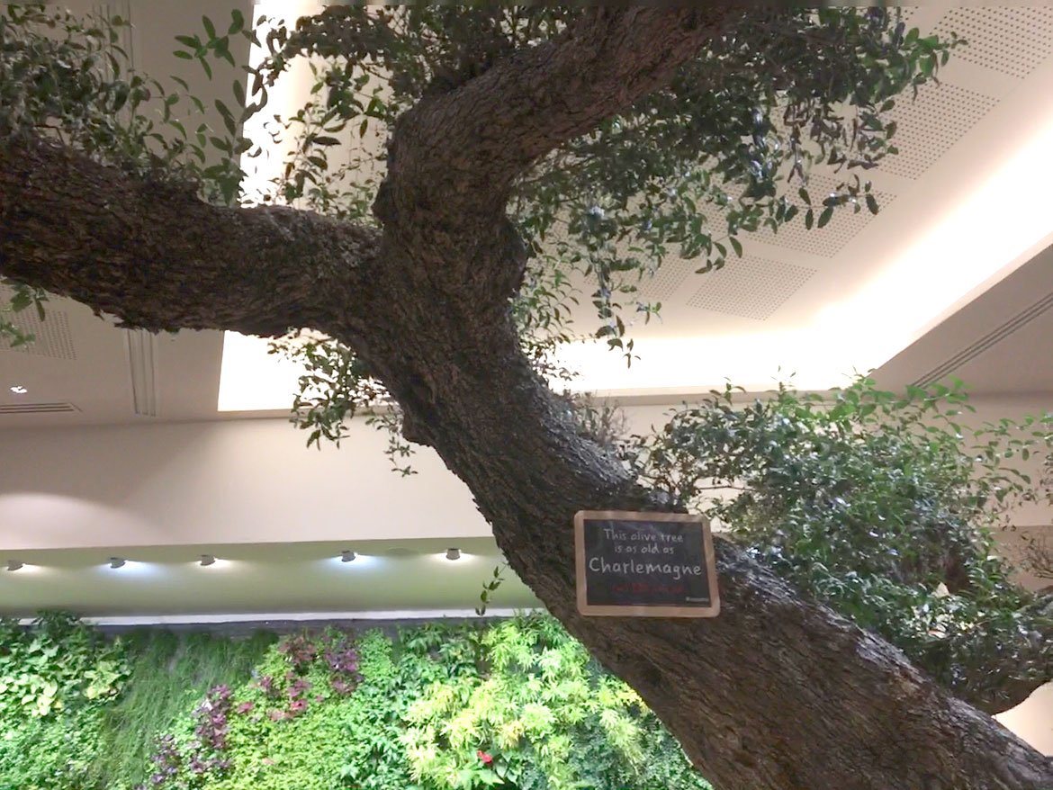 Olivier Vapiano restaurant