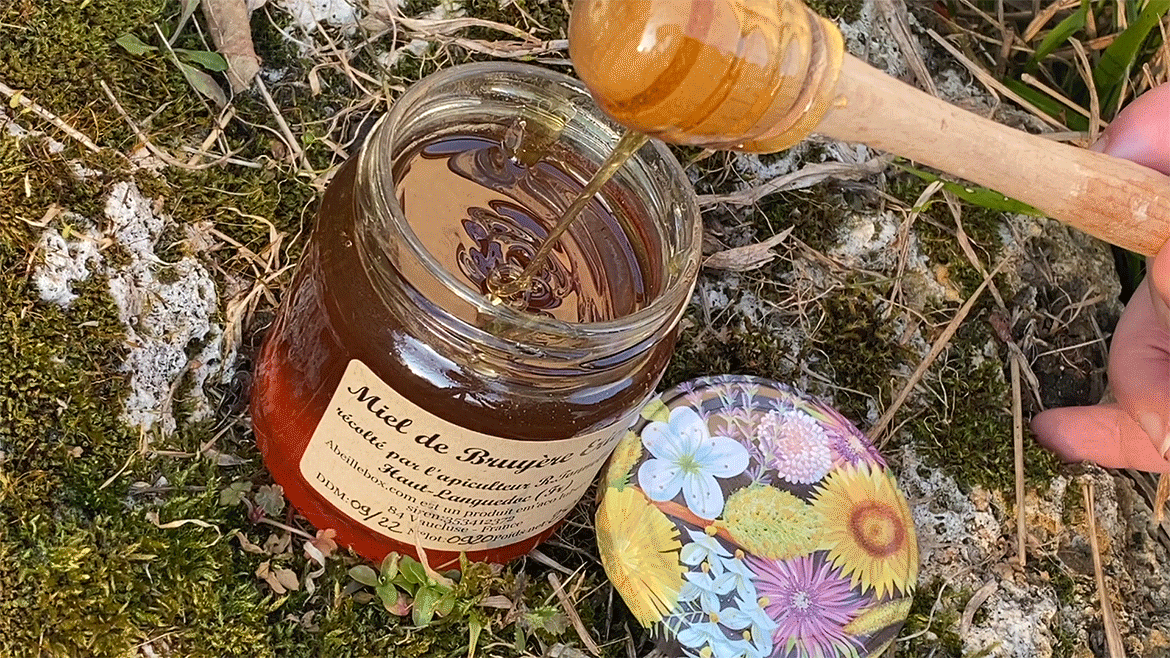 Abeille Box - miel
